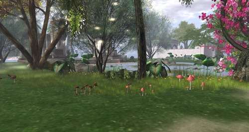 Web 55c36e57128cc95590000001