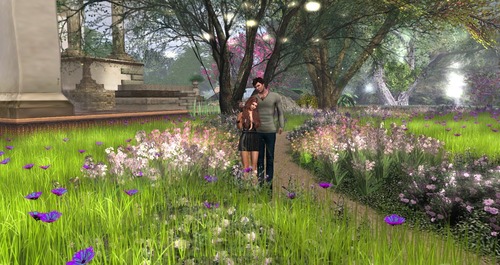 Web 55c36fdcf8a1ec03f4000001