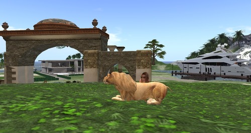 Web 55ca2709f8a1ec35dc000001