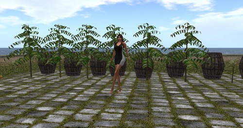 Web 55ccdfd2f8a1ec1af9000001