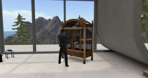 Web 55cd3637128cc941c4000001