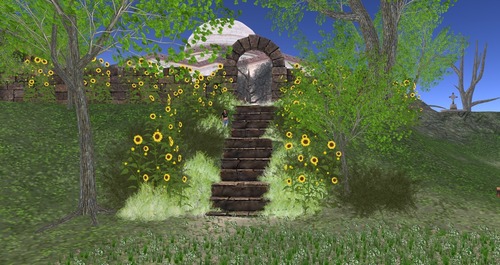 Web 55d1d8288da57271c5000001