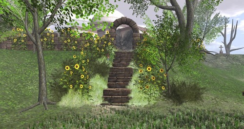 Web 55d1d857128cc9716e000001