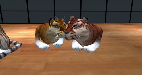 Web 55d49ff5128cc9626d000001