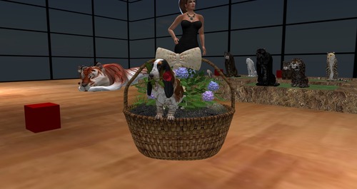 Web 55d4a4df8da57227cf000001