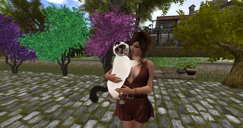 Web 55d72cf0f8a1ec3f9f000001