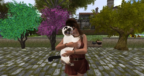 Web 55d72da7128cc95123000001