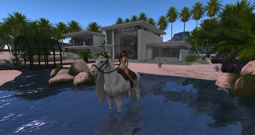 Web 58c82c8fb01540397c000001