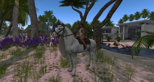 Web 58c82cd2b015403c31000001