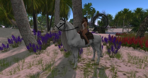 Web 58c82d95e85cda3e2a000001