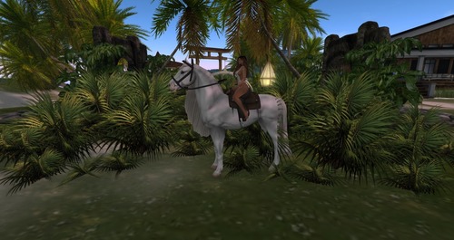 Web 58c82e32f8a1ec1958000001