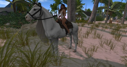 Web 58c82ffbb015404cdc000001