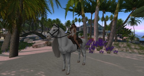 Web 58c83173b713f77f65000001