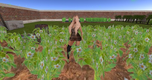 Web 58ca9ae9f8a1ec1496000001