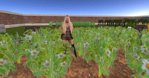 Web 58ca9b06b015402d19000001