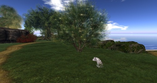 Web 58cb5217e85cda174c000001