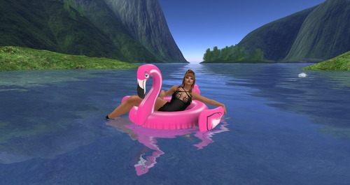 Web 58cc6ceab713f74bda000001