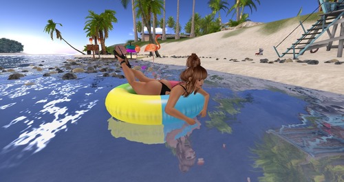 Web 58cc6fa2b713f762ee000001