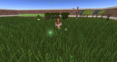 Web 58d3fcafd774f87f63000001