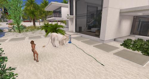 Web 58d56884d774f86902000001