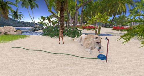 Web 58d568c7289dd25589000001