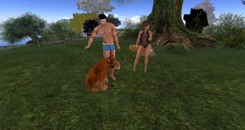 Web 58d6a76a73ed170532000001