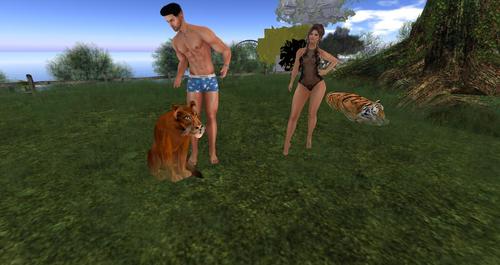 Web 58d6a77f73ed170759000001