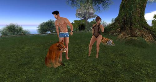 Web 58d6a7e6289dd2047a000001