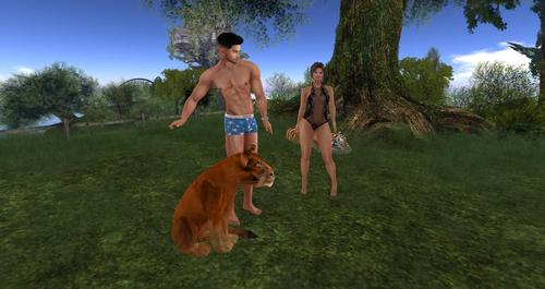 Web 58d6a80773ed170cd1000001