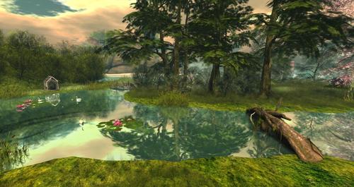 Web 58d988b2d9859c4f92000001