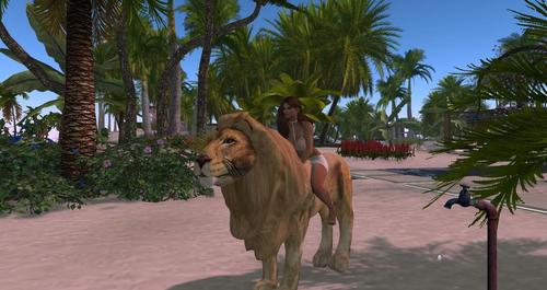 Web 58ddeda4d9859c4252000001