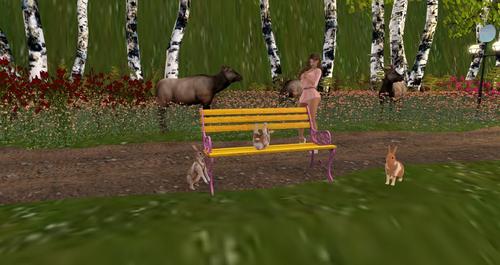 Web 58e146be73ed171965000001