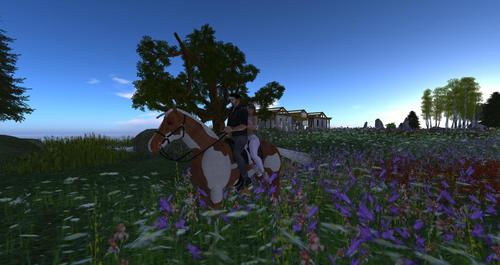 Web 58e2e991d9859c1102000001