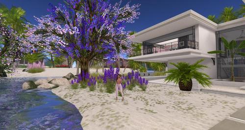 Web 58e3453a73ed175582000001