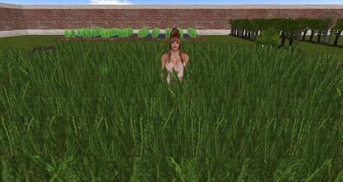 Web 58e5361bd774f8747f000001