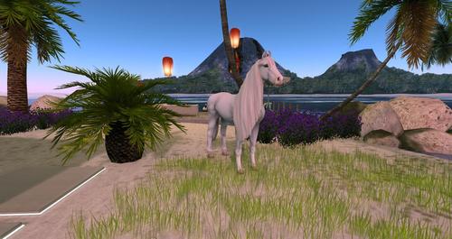 Web 58e6b943d9859c7753000001