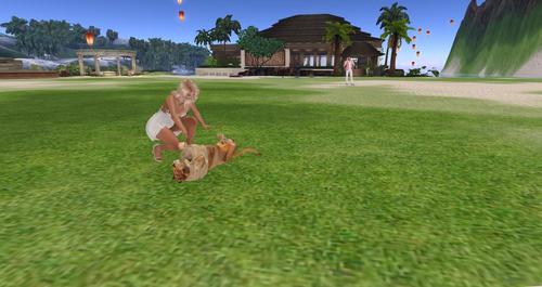 Web 58ebef51d9859c3134000001