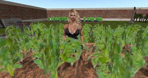 Web 59088cc9289dd2395b000001