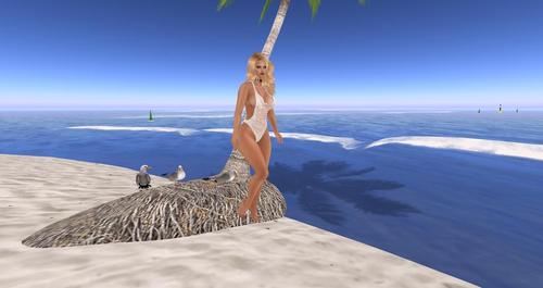 Web 59112b6e73ed1746c2000001