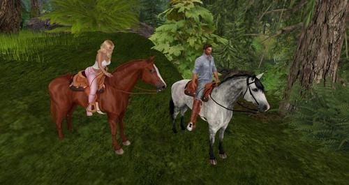 Web 5916955373ed175b75000001