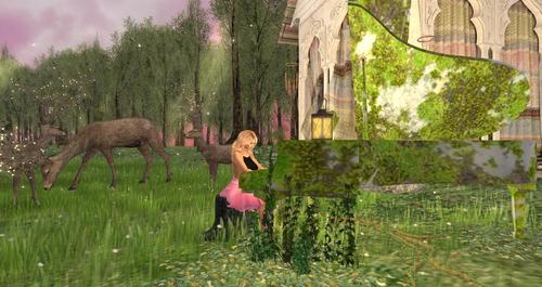 Web 591b3f2573ed174c94000001