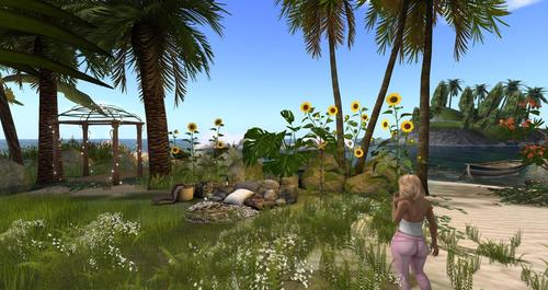 Web 591e721e73ed172da9000001