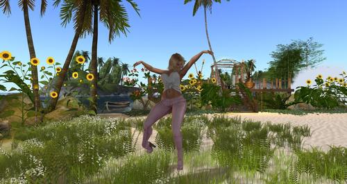 Web 591e72a2d9859c2e50000001