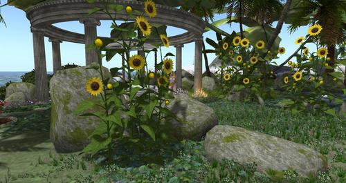 Web 591e7808289dd20f0c000001