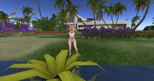 Web 591f240873ed17465f000001