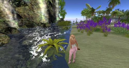 Web 591f242c289dd24248000001