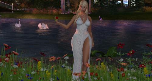 Web 592504cbd9859c6297000001