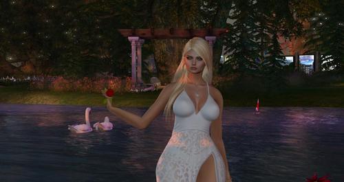 Web 59250514d774f8302c000001