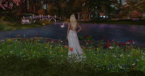 Web 5925069bd774f83945000001