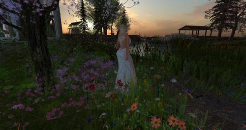 Web 59250722d9859c6f32000001